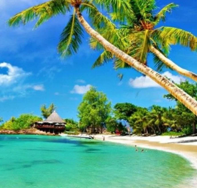 andamantravelmania